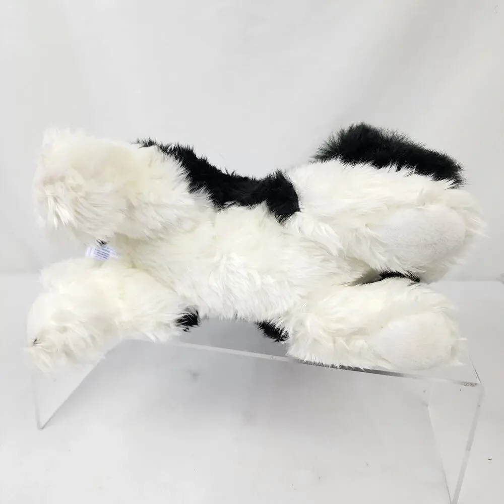 Aurora cavalier king
